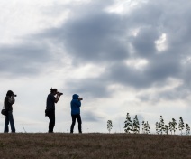 Expozitie foto dedicata Tarii Lapusului