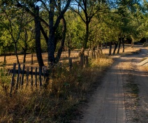 Parteneri şi părţi implicate